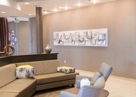 SpringHill Suites by Marriott Dallas Lewisville 2