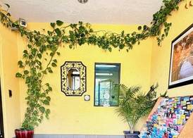 Microtel Inn & Suites by Wyndham New Braunfels I-35 2