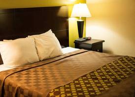 Rodeway Inn & Suites Corpus Christi Northwest 5