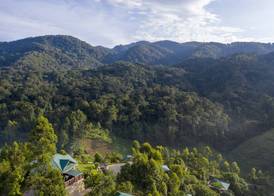 Rushaga Gorilla Lodge 2