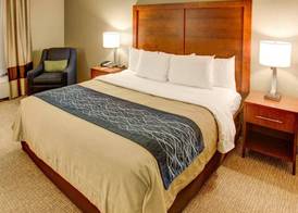 Comfort Inn Conference Center Pittsburgh Penn Hills 5