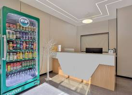 Yinshu Lunas Vila Courtyard Garden Resort Hotel (Shanghai International Tourism Resort Branch) 3
