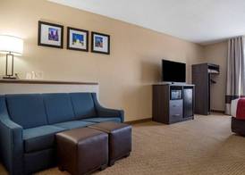 Comfort Suites Mobile West Tillmans Corner 4