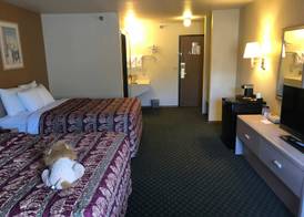 Kings Inn Cody 3