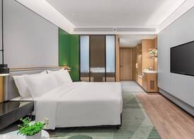 Holiday Inn Wuhan Houguan Lake by IHG 5