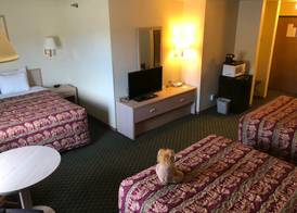 Kings Inn Cody 5