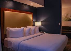 SpringHill Suites by Marriott Baton Rouge North / Airport 3