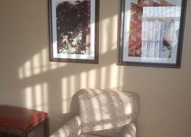 Best Western Plus Dutch Haus Inn and Suites 5