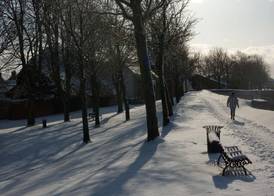 Au jardin d'à côté 3