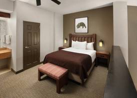 Great Wolf Lodge Grapevine 5