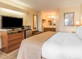 Rodeway Inn Sylacauga Hwy 280 4