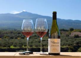 Feudo Vagliasindi -Wine Experience- 3