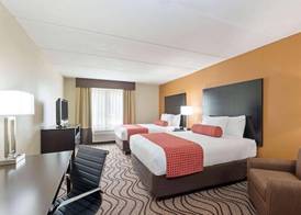 Comfort Inn & Suites Tampa North I-75 2