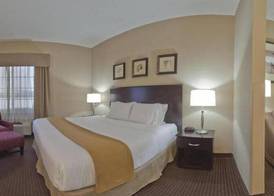Holiday Inn Express & Suites ASHTABULA-GENEVA by IHG 4