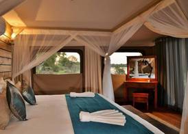 Jackalberry Chobe 3