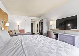 Holiday Inn ST. PETERSBURG WEST by IHG 5