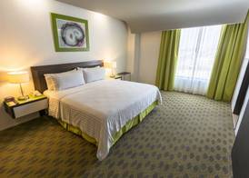 Holiday Inn QUERETARO ZONA KRYSTAL by IHG 5