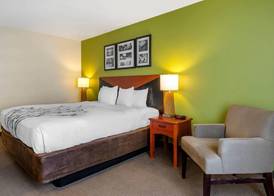 Sleep Inn & Suites Stockbridge Atlanta South 5