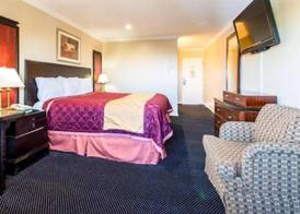 Queencity Inn 4