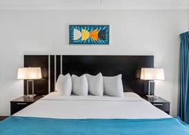 OASIS BAY SUITES, Tampa, Busch Gardens, USF 4