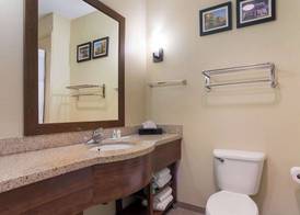 Comfort Suites Saraland - North Mobile 3