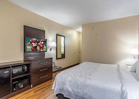 Red Roof Inn PLUS Austin South - Airport 5