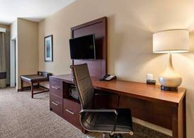 Comfort Suites Kyle 5