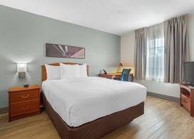 MainStay Suites Tampa Moffitt-USF 4