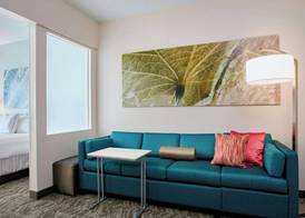 Springhill Suites by Marriott Chicago Schaumburg/Woodfield Mall 4