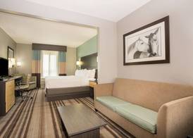 Holiday Inn Express & Suites AMARILLO WEST by IHG 5