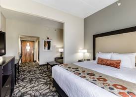 Holiday Inn Express & Suites CEDAR FALLS - WATERLOO by IHG 4