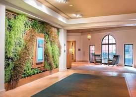 The Westin Lake Las Vegas Resort & Spa 5
