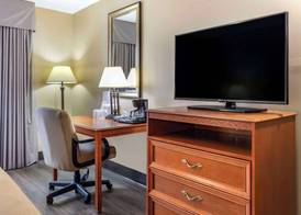Econo Lodge & Suites Southern Pines - Pinehurst 5