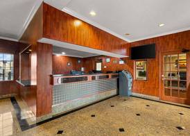 Best Western Moreno Hotel & Suites 4