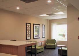 Holiday Inn Express & Suites TAMPA-FAIRGROUNDS-CASINO by IHG 3