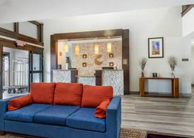 Comfort Inn & Suites Houston FM1960 - Champions 3