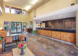 Best Western Plus Orchid Hotel & Suites 4