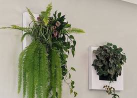 Luna House & Cowork 2