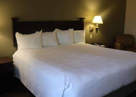 Wingate by Wyndham Peoria - Complimentary Area Shuttle 4