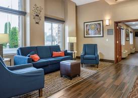 Comfort Inn & Suites Dimondale - Lansing 4