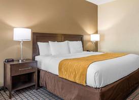Comfort Inn & Suites Cincinnati Uptown Clifton 5