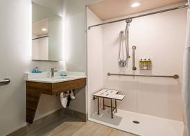 Holiday Inn Express & Suites DETROIT - FARMINGTON HILLS by IHG 2