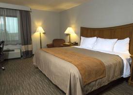 Comfort Inn South - Springfield 5