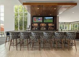SpringHill Suites by Marriott Roanoke 5