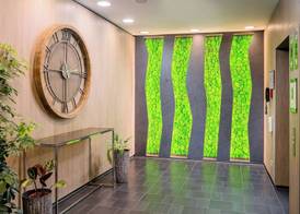 Best Western Hotel Airport Frankfurt 4