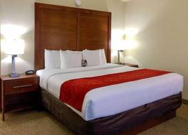 Vista Suites Near Island and Leconte Convention Center 3