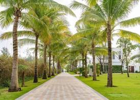 wyndhoian Signature Villas Hoi An 4