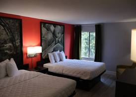 Namaste Inn & Suites Dawsonville 5