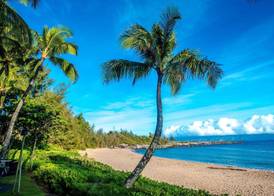 The Ritz-Carlton Maui, Kapalua 4