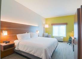 Holiday Inn Express & Suites TAMPA -USF-BUSCH GARDENS by IHG 3